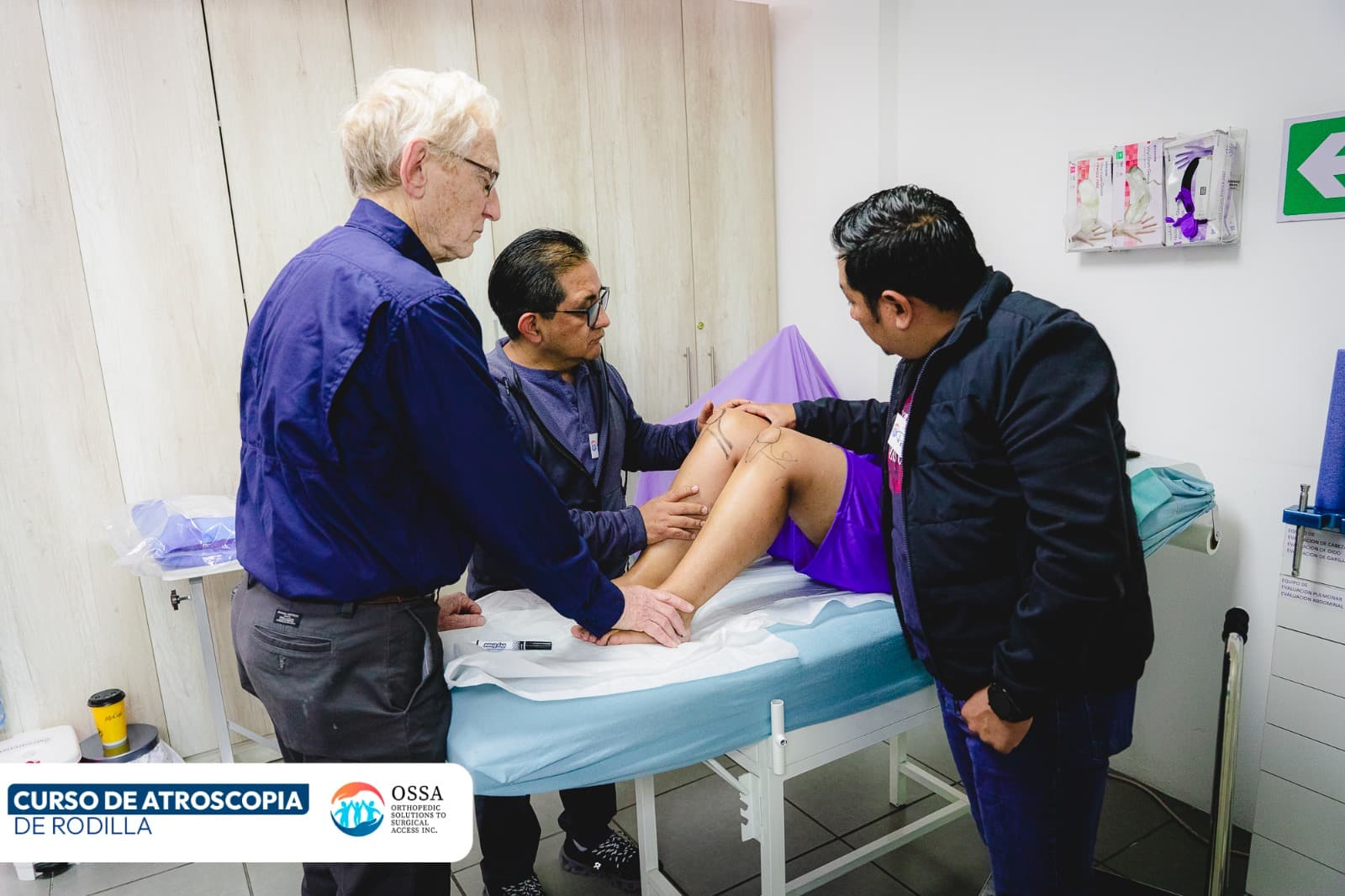 Simulación Básica de Artroscopia de Rodilla